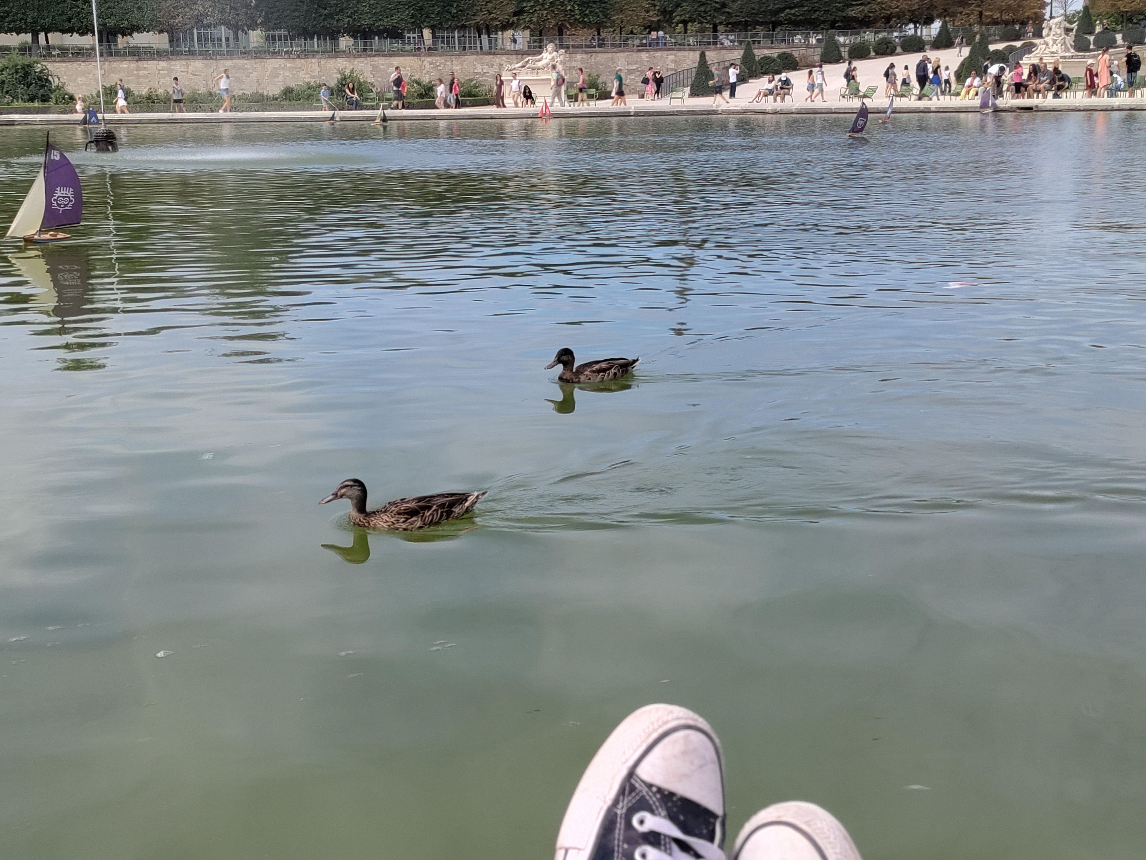 Watching the small sailboats and the ducks swim in the Tuileries Garden.
